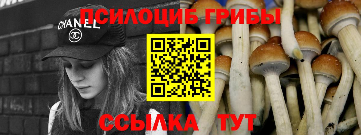 Псилоцибиновые грибы MAGIC MUSHROOMS Ржев