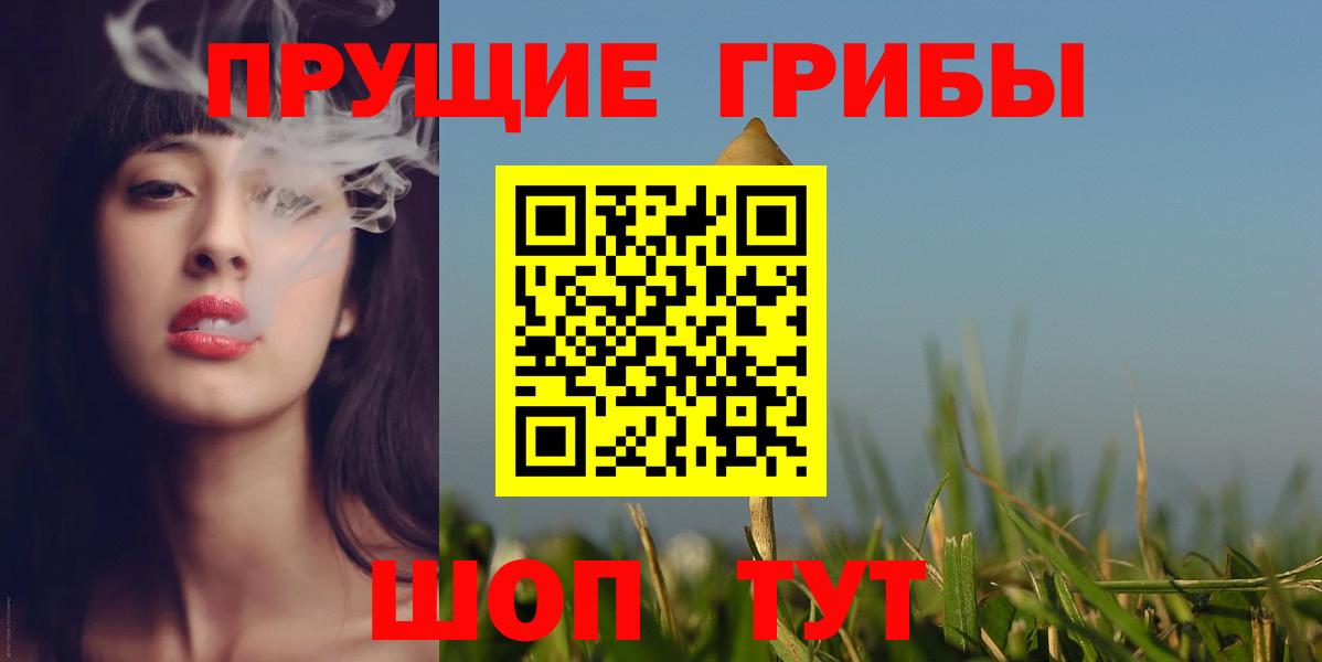 где купить   Галлюциногенные грибы Psilocybe  Вход с VPN  Галлюциногенные грибы прущие грибы  Ржев 